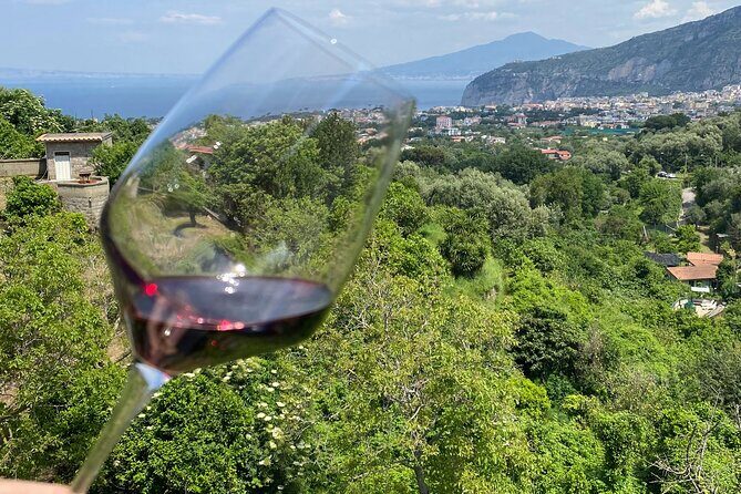 5 Wine Tastings with Typical Products in Sorrento Coast - Price and Logistics: What $108.13 Buys in Real Time