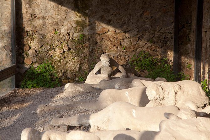 Explore the Pompeii Ruins from Positano - Price and value: is $179.01 a fair deal from Positano?