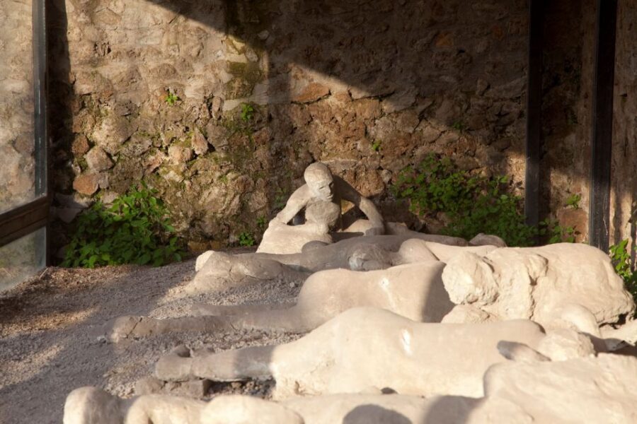 From Positano: Pompeii Guided Tour with Skip the Line - Skip-the-line entry: the practical value of “less waiting”