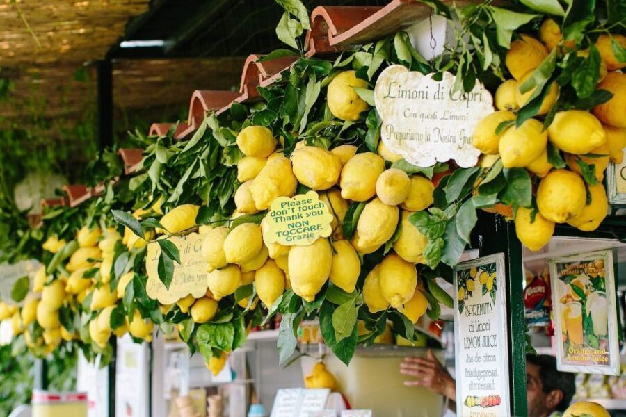 From Positano: Sorrento Coast & Capri Full-Day Trip by Boat - Weather and sea conditions: what you should know before you go