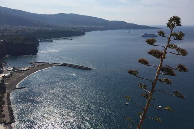 Full Day Private Sorrento & Amalfi Coast Tour from Positano - Entering the Amalfi Coast from Positano at 8:30