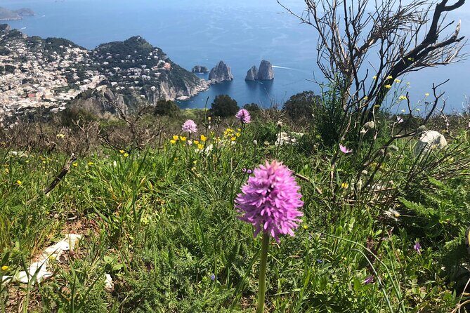 Gastronomic Hike on the Path of the Gods with Food Tasting - Wine tasting and the age rule