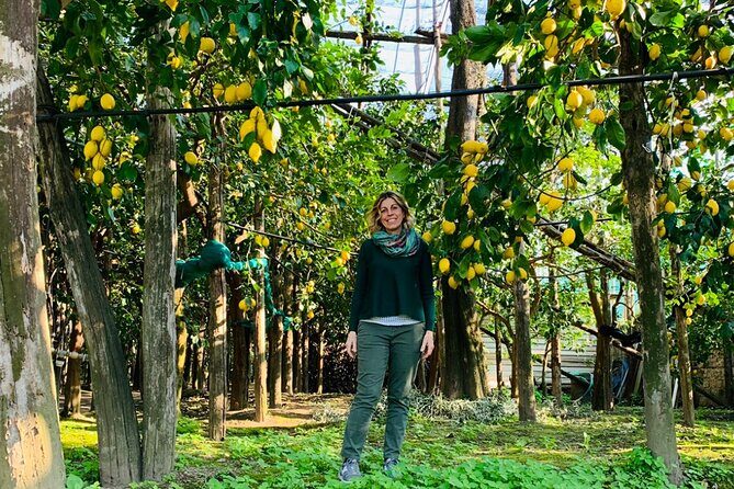 Guided tour of the history and tradition of the Sorrento lemon - Key highlights before you go
