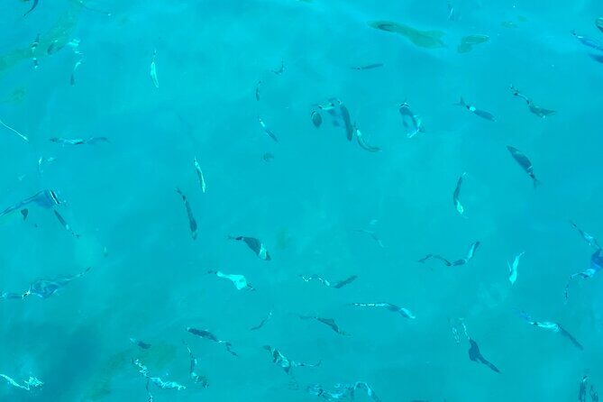 Half-Day Amalfi Coast Boat & Snorkeling Small Group Tour - The boat and the crew vibe: small boat comfort, real-world service