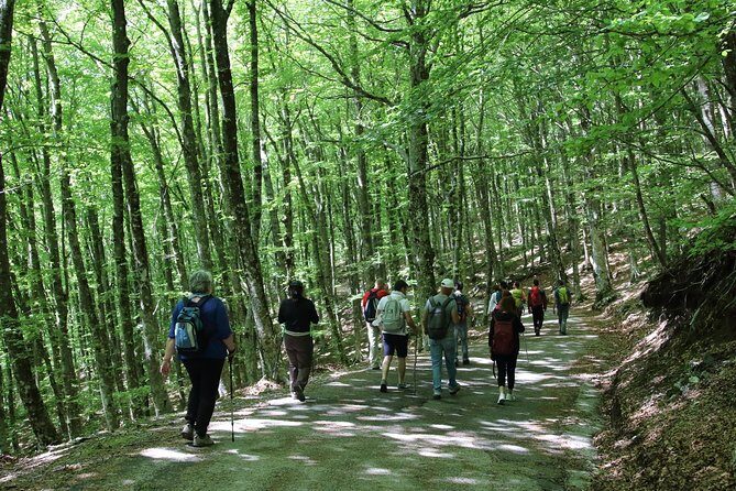 Hiking on Faito Mountain from Sorrento - Price check: is $347.91 per person good value?