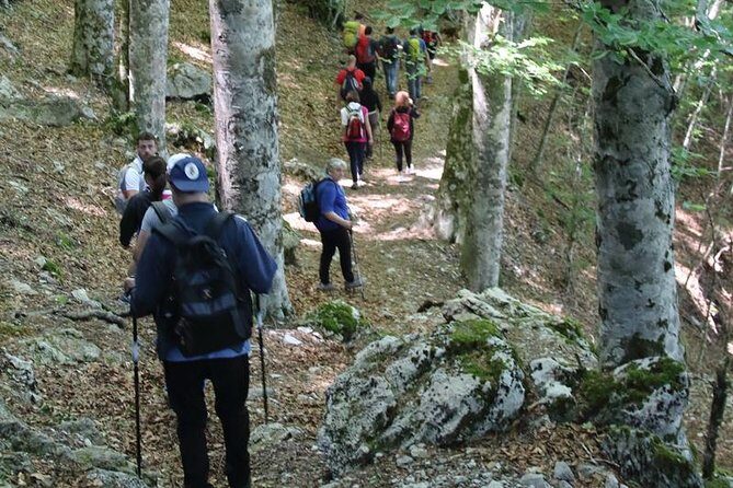 Hiking on Faito Mountain from Sorrento - Weather reality: operates in all conditions, but you still need a plan