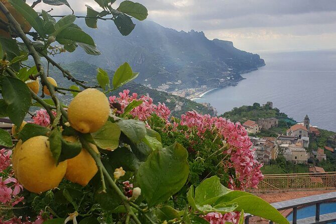 Luxury Tour from Positano to Pompei Ravello Amalfi - Pompeii Archaeological Park: 2 Hours of Streets, Mosaics, and 79 AD