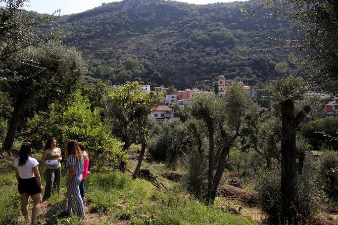 Olive oil tasting in Sorrento - Who Will Enjoy This Most in Sorrento