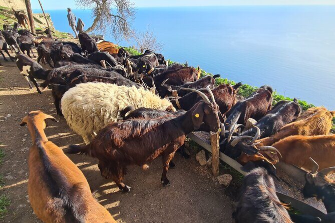 Path of Gods Hike, with Food Experience at Shepherd's Hut - Who this hike is best for (and who might want another option)