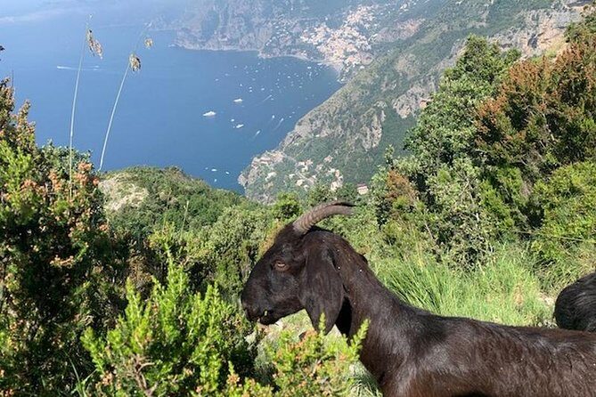 Path of the gods hike - Where you start near Positano: meeting at Bomerano and keeping it simple