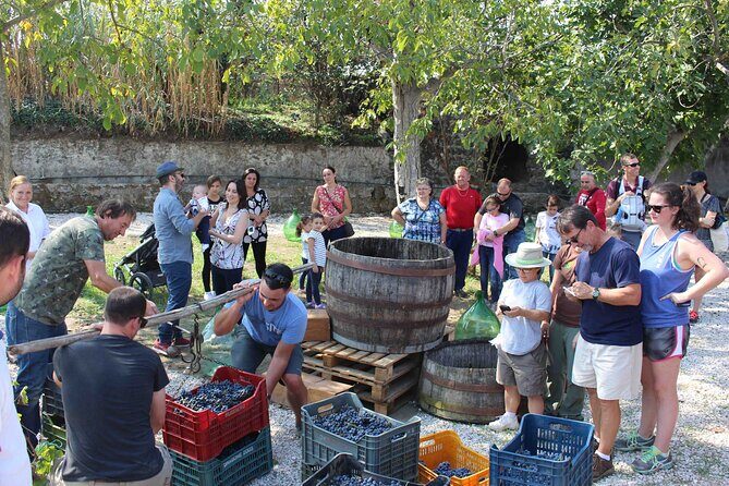 Pompeii Wine Tasting Tour from Positano - Should you book? My practical call
