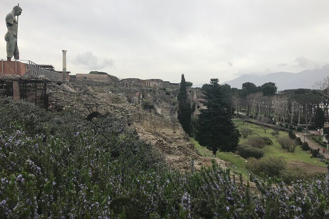 Pompeii Wine Tasting Tour from Positano - Pompeii Archaeological Park: why a guided walk changes everything