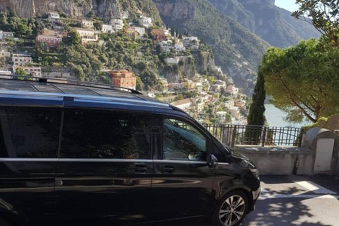 Private day tour to Pompei ,winery, Sorrento from Napoli/Salerno/Amalfi/Positano - The Vesuvius winery lunch and wine tasting (Lacrima Christi focus)