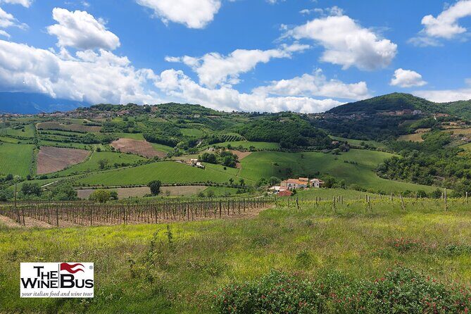 Private Irpinia Wine Tour from POSITANO, AMALFI or RAVELLO - Key highlights worth your attention