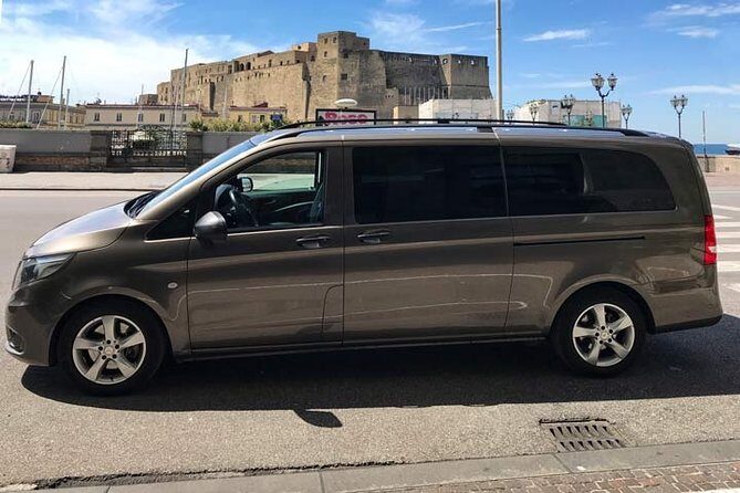Private Transfer Positano to Rome - Pompeii Pointers and Lunch Break Reality
