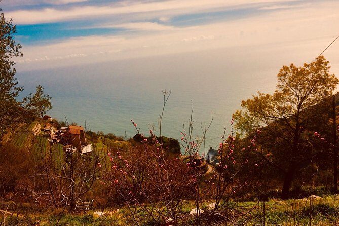 Trail of the gods with local guide Saveria Fiore "Ladybug" - Weather Timing: When the Coast Changes Plans